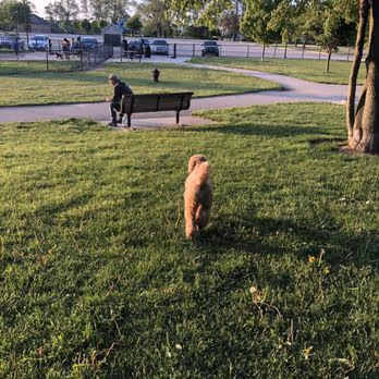 Quincy Dog Park photo 1